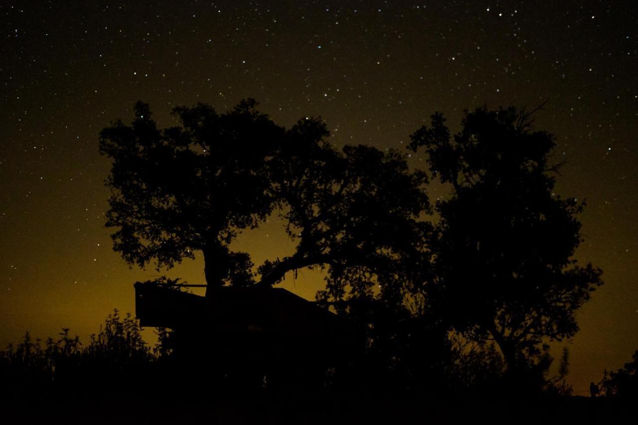 Herdade Do Rio Torto Portel Dış mekan fotoğraf