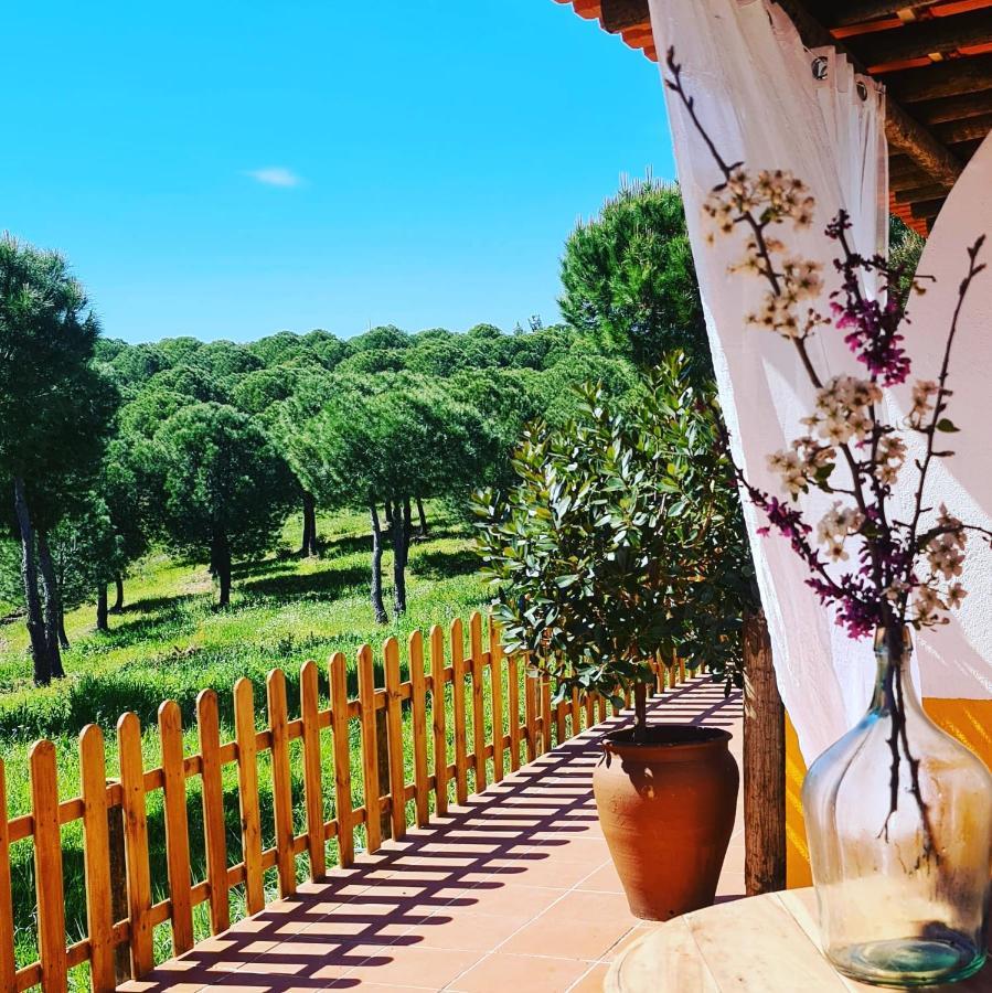 Herdade Do Rio Torto Portel Dış mekan fotoğraf