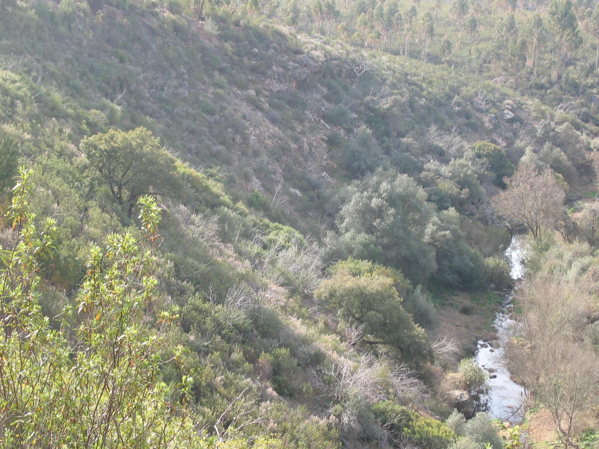 Herdade Do Rio Torto Portel Dış mekan fotoğraf