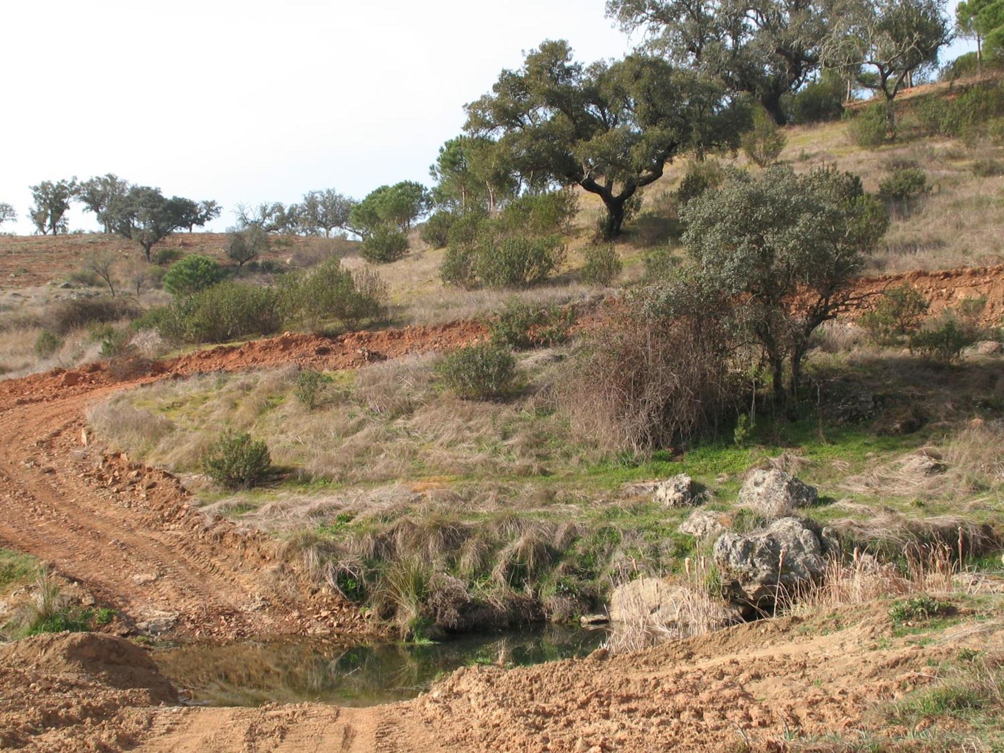 Herdade Do Rio Torto Portel Dış mekan fotoğraf