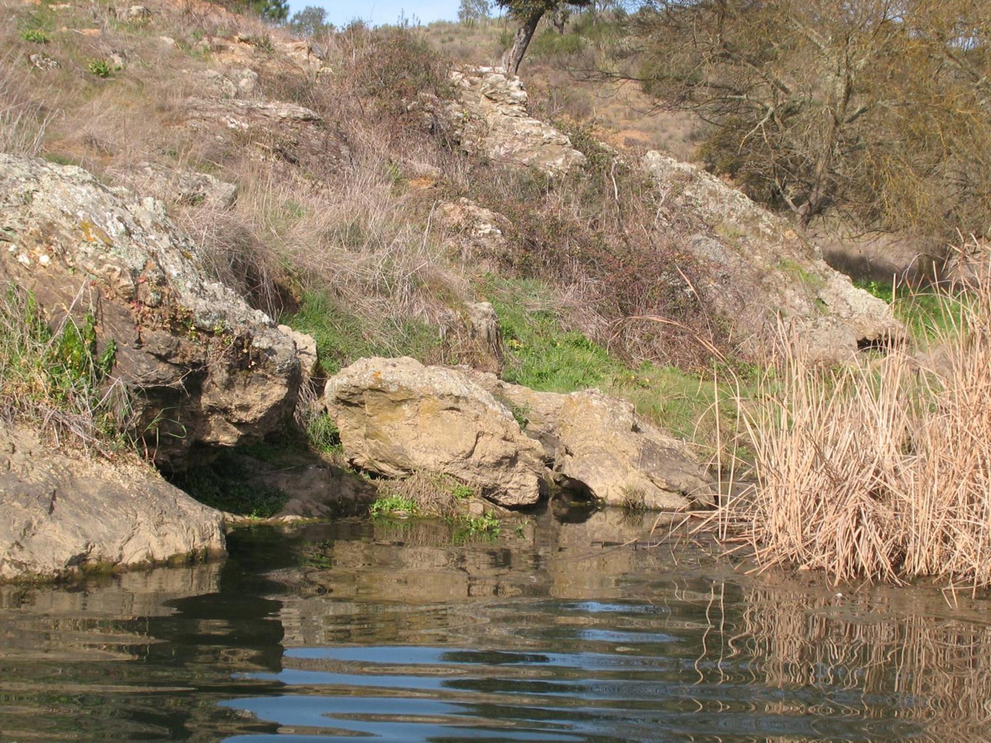 Herdade Do Rio Torto Portel Dış mekan fotoğraf