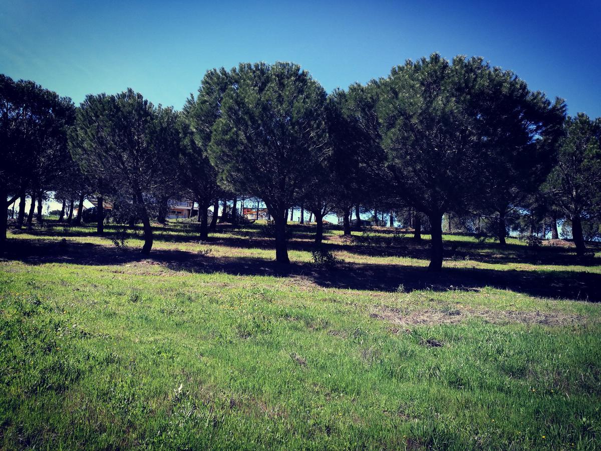 Herdade Do Rio Torto Portel Dış mekan fotoğraf