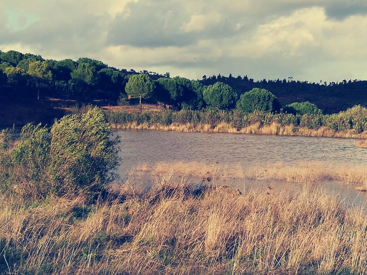 Herdade Do Rio Torto Portel Dış mekan fotoğraf