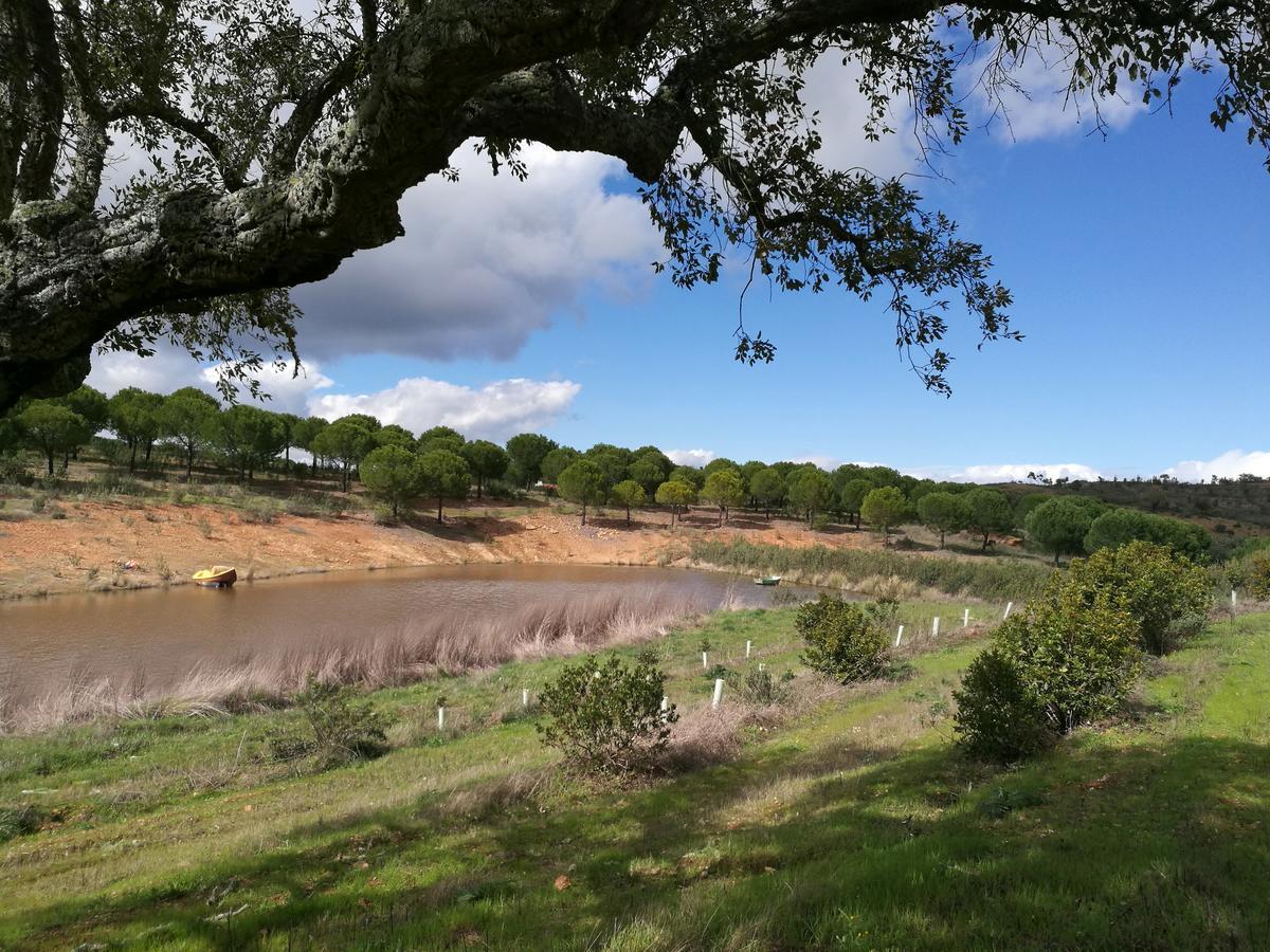 Herdade Do Rio Torto Portel Dış mekan fotoğraf