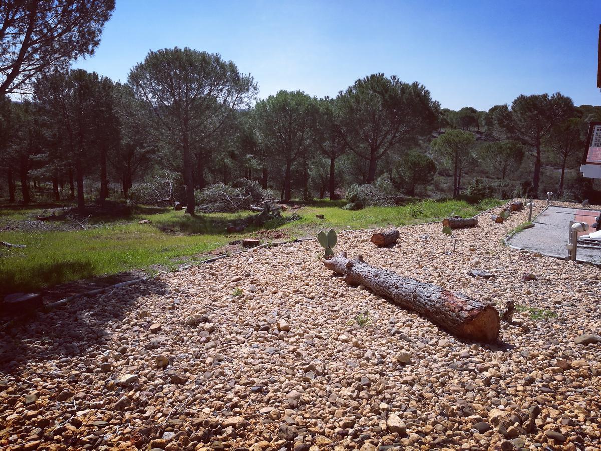 Herdade Do Rio Torto Portel Dış mekan fotoğraf